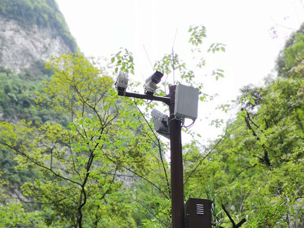 监控稳压器